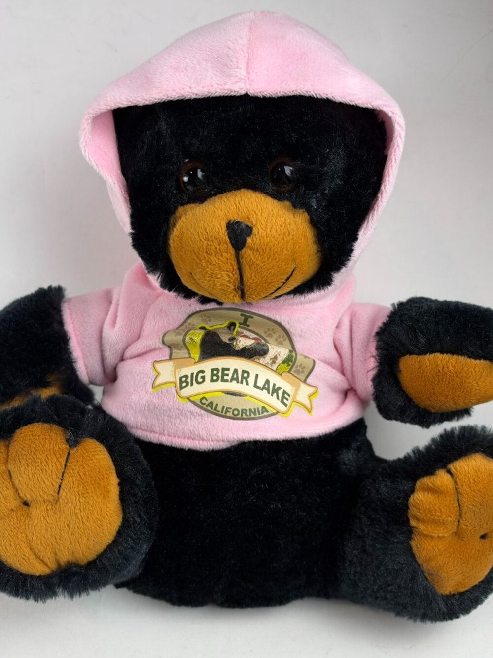 Big Bear Lake California Plush Bear Giftable World Pink Hooded Sweatshirt 10"